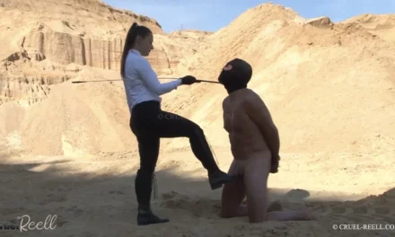 The Power of Contrast: Why CFNM is a Feminine Fantasy and a Submissive’s Dream